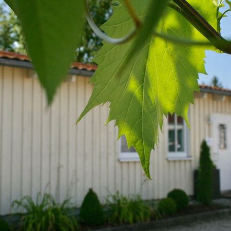Gaestehaus Gaumenflug Am See Günzburg Dış mekan fotoğraf
