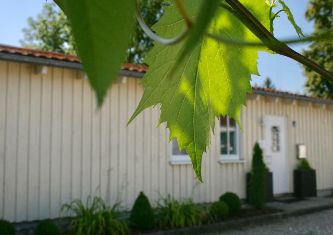 Gaestehaus Gaumenflug Am See Günzburg Dış mekan fotoğraf