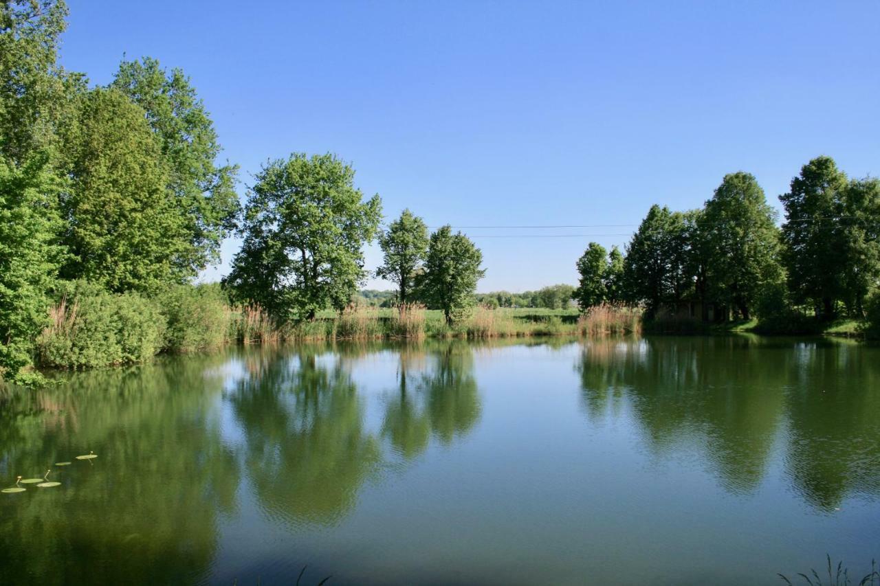 Gaestehaus Gaumenflug Am See Günzburg Dış mekan fotoğraf
